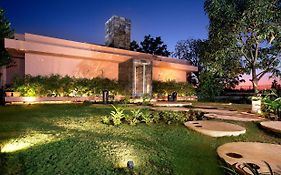 Cocoon Nashik